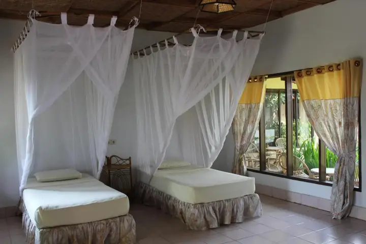 Ecolodge Bukit Lawang — фото 4