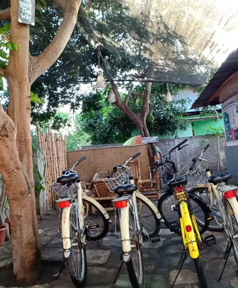 Гили Аир: Rumah Amel