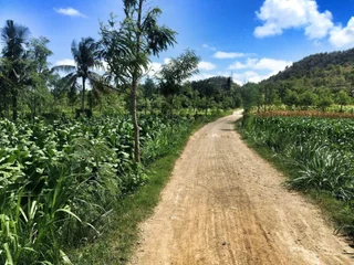 Кута: Origin Lombok