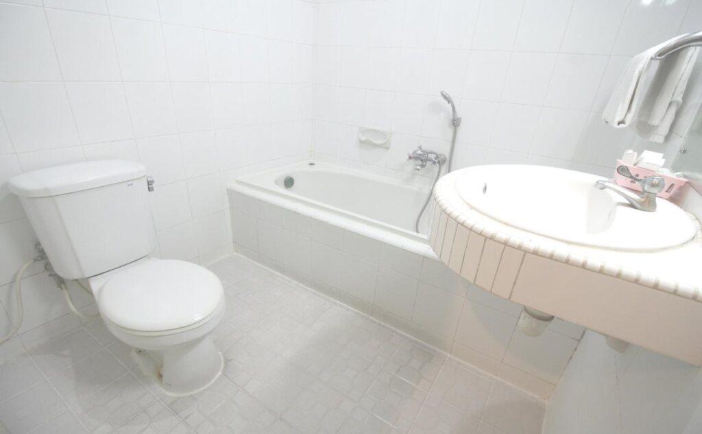 Депок: Hotel Tjiptorini Jaya