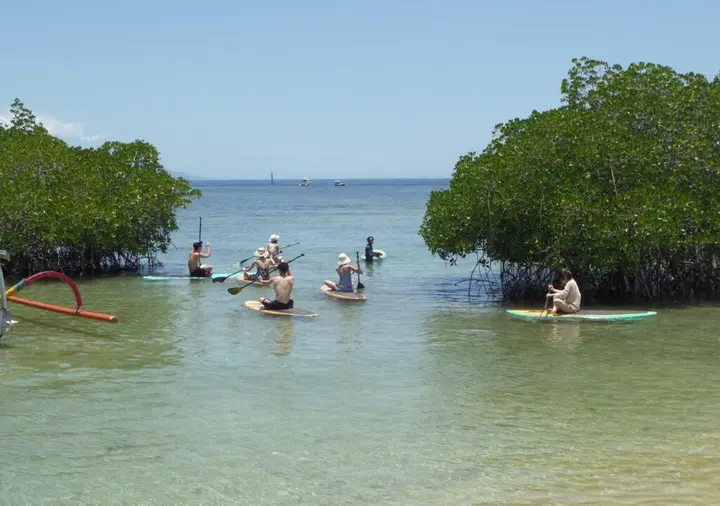 Лембонган-Айленд: Mangrove Paradise Retreat