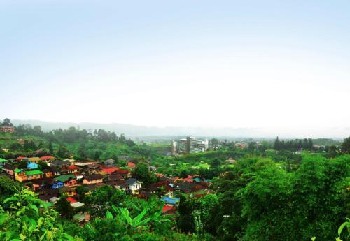 Чипанас: Villa Buenavista Puncak