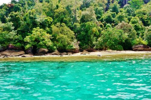 Паданг: Sumatra Ecolodge