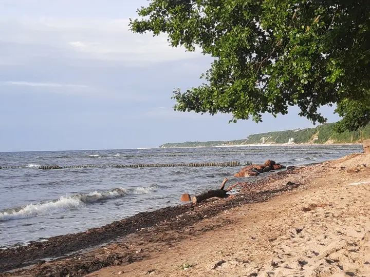 Светлогорск: Апартаменты Морская лагуна