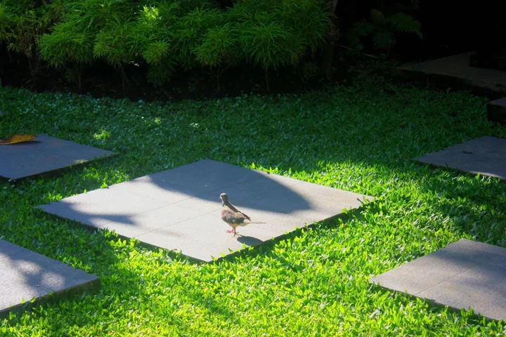 Маланг: Ubud Cottages Malang