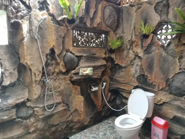 Кинтамани: Tiing Bali Guest House Adventure