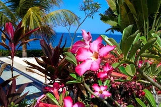 Тембок: Alam Mimpi Resort Bali