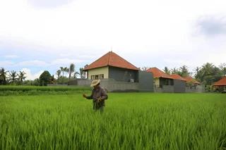 Сукавати: Asri Sari Villa Ubud
