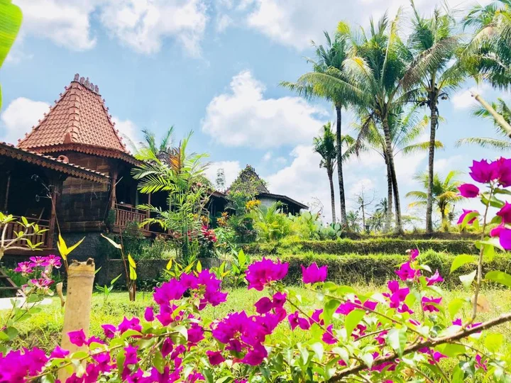 Убуд: Villa Neyang