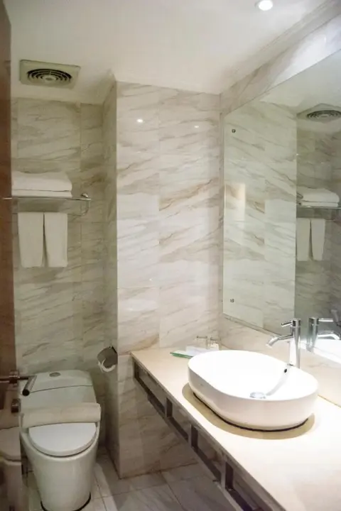 Пеканбару: Royal Asnof Hotel