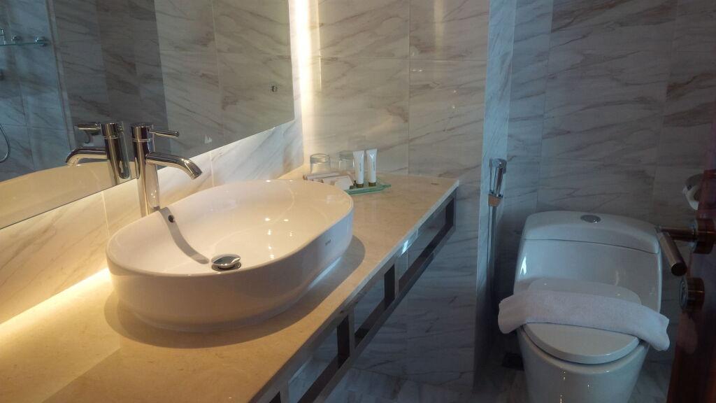 Пеканбару: Royal Asnof Hotel