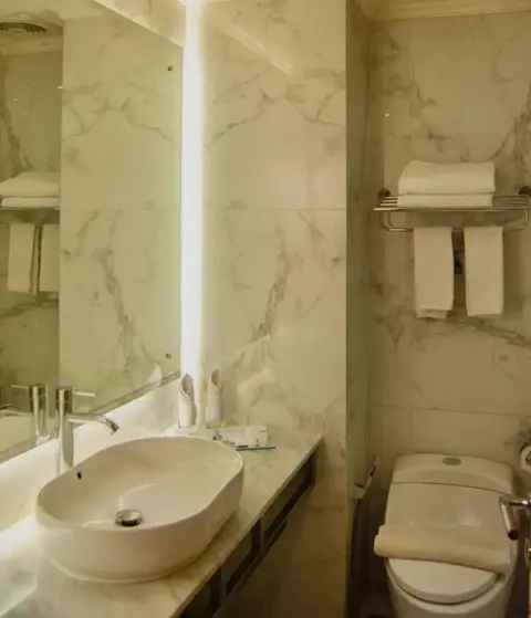Пеканбару: Royal Asnof Hotel
