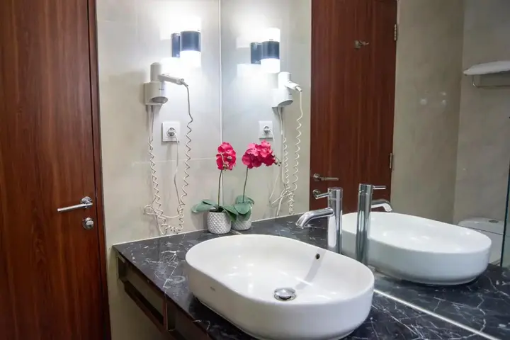 Пеканбару: Royal Asnof Hotel