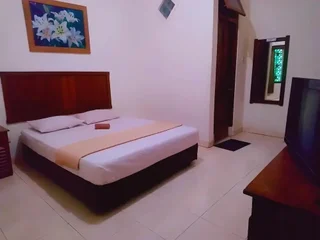 Суракарта: De Solo Boutique Hotel