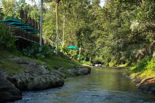 Убуд: The Samaya Ubud