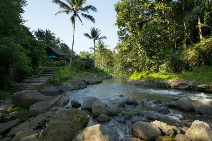 Убуд: The Samaya Ubud