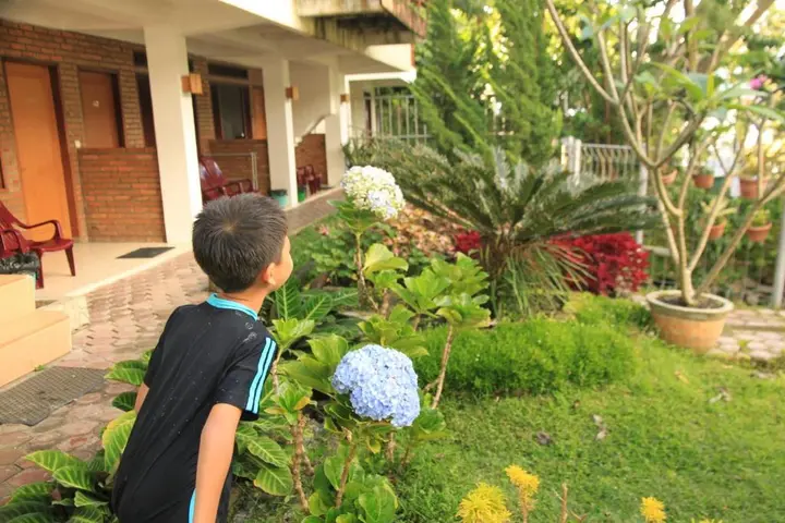 Озеро Тоба: Pandu Lakeside Hotel Parapat - Toba Lake