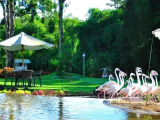 Петумбак: The Hill Hotel & Resort Sibolangit