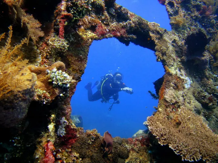 Бунутан: Arya Amed Beach Resort and Dive Center