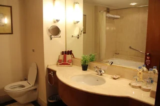 Джакарта: REDTOP Hotel & Convention Center