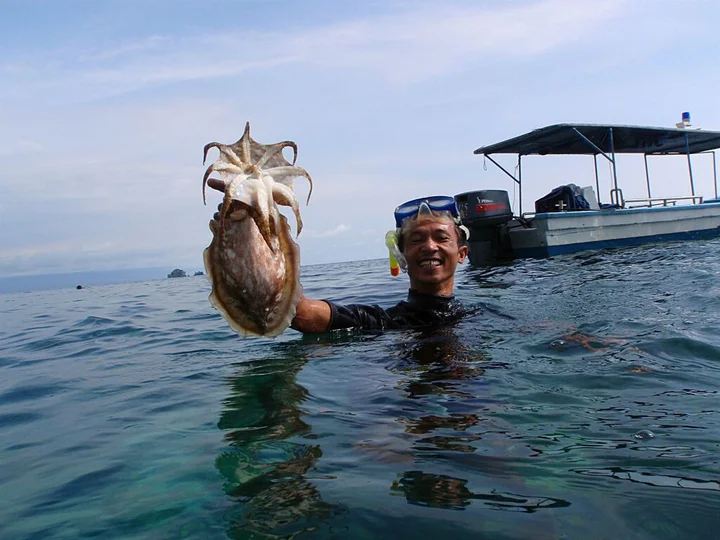Остров Пеньенгат: Bintan Agro Beach Resort & Spa