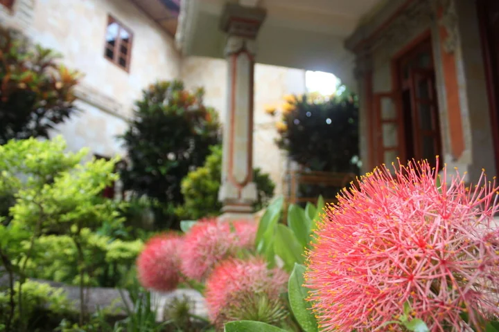 Каликбукбук: Rambutan Boutique Hotel & Spa