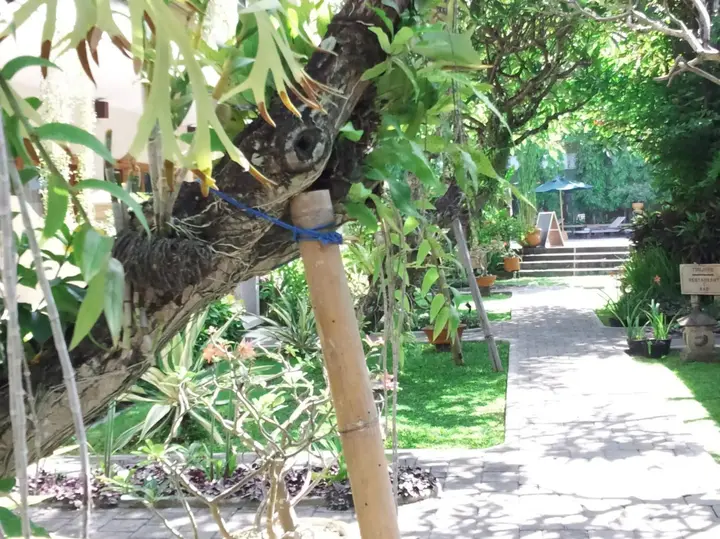 Санур Кайя: Mentari Sanur Hotel