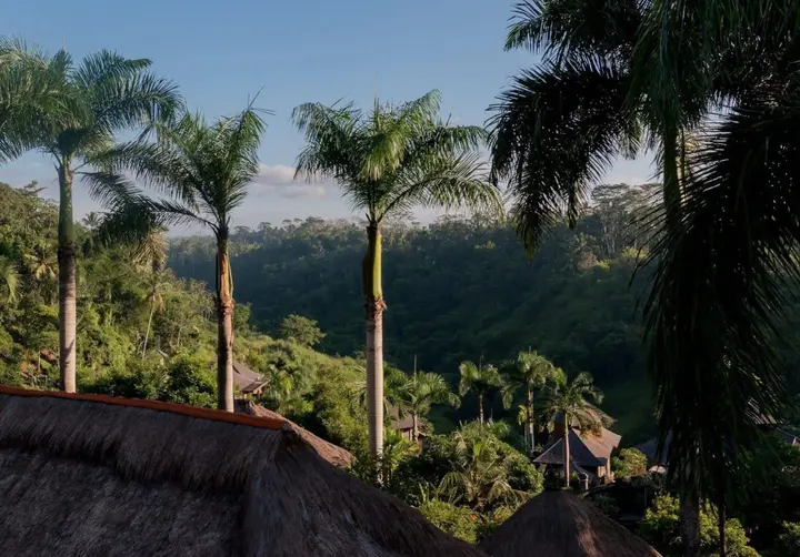 Убуд: The Payogan Villa Resort & Spa