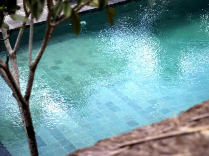 Чангу: The Calmtree Bungalows