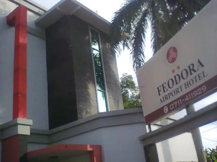 Feodora Airport Hotel — фото 1
