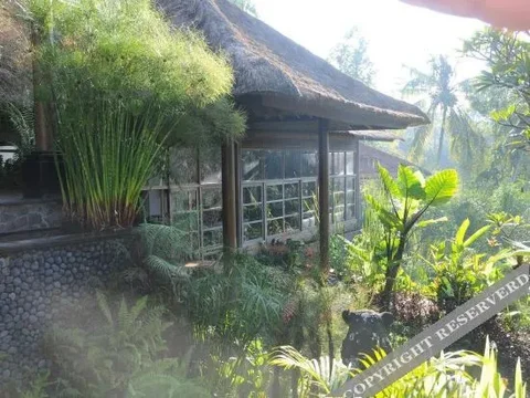 Тегаллаланг: Villa Constance