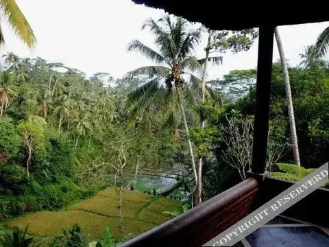 Тегаллаланг: Villa Constance