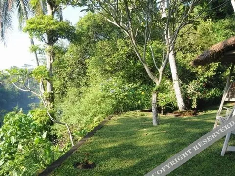Тегаллаланг: Villa Constance