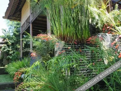 Тегаллаланг: Villa Constance