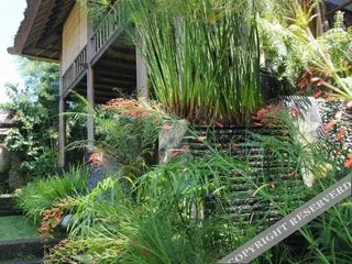 Тегаллаланг: Villa Constance
