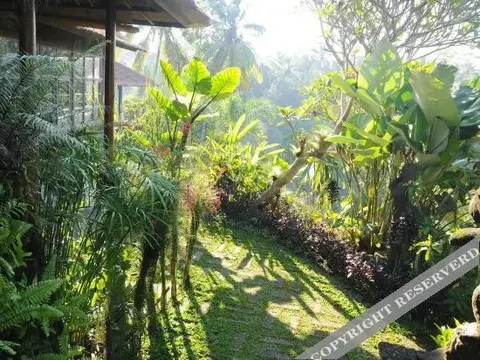 Тегаллаланг: Villa Constance
