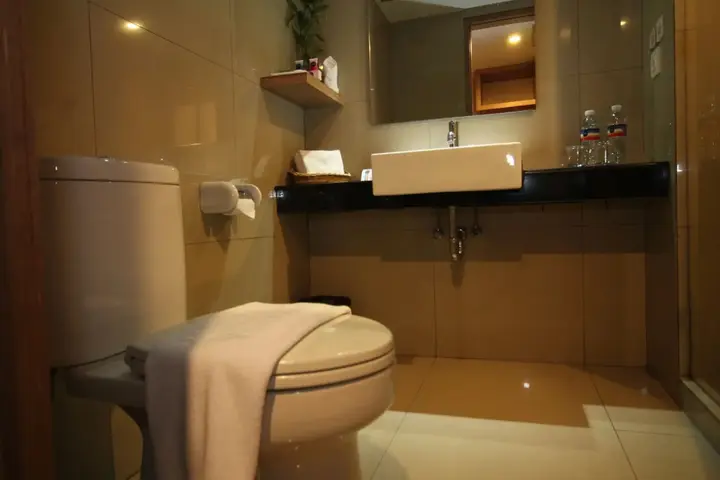 Пеканбару: Hotel Dafam Pekanbaru