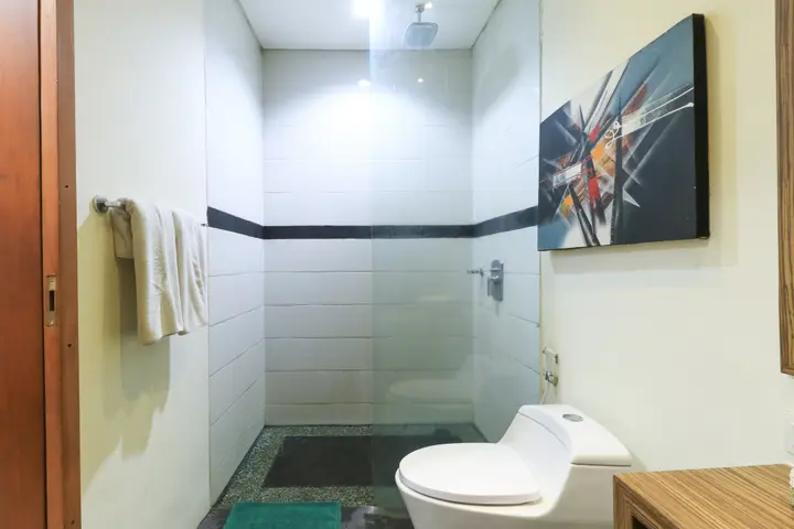 Керобокан: The Widyas Bali Villa
