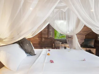 Тегаллаланг: DD Ubud Villa