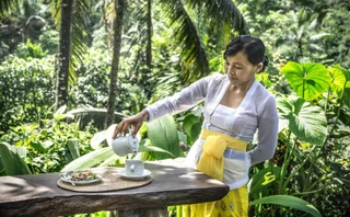 Тегаллаланг: DD Ubud Villa
