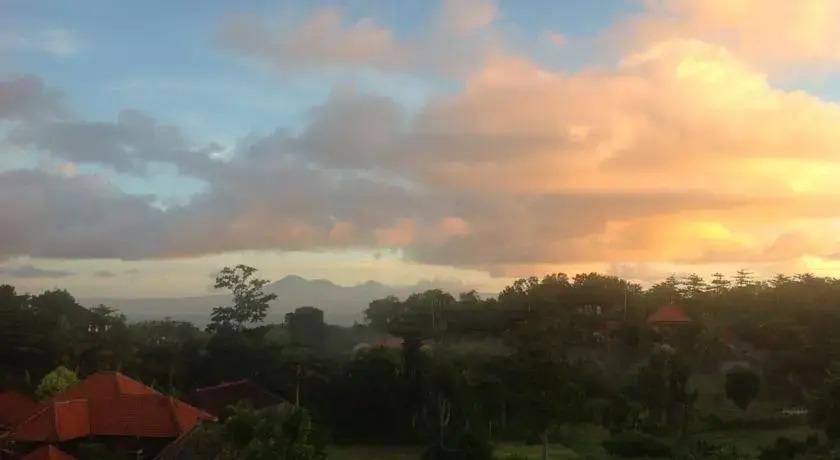 Villa Lumi — фото 4