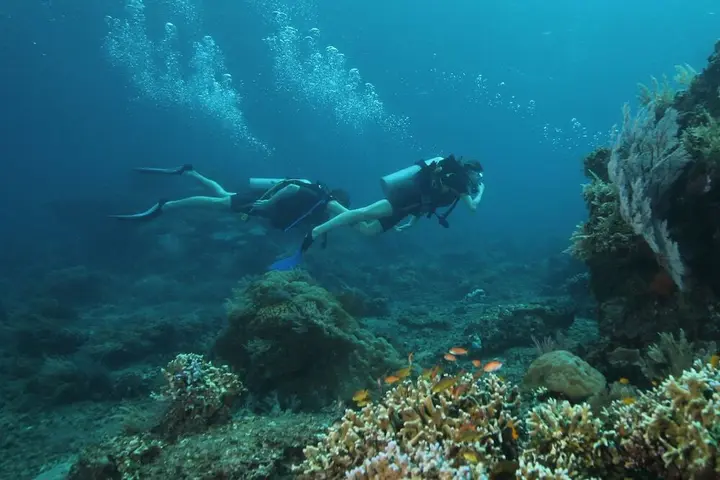 Бунутан: Selang Resort