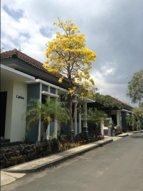 Соронг: Luxio Hotel Sorong