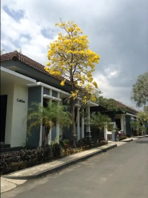Соронг: Luxio Hotel Sorong