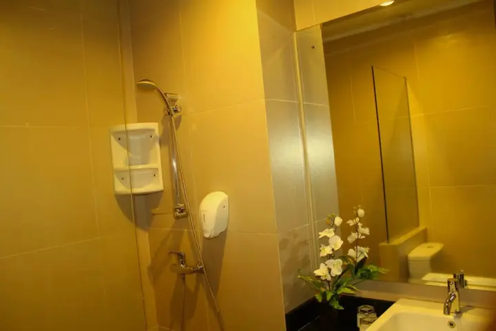 Пеканбару: Drego Hotel