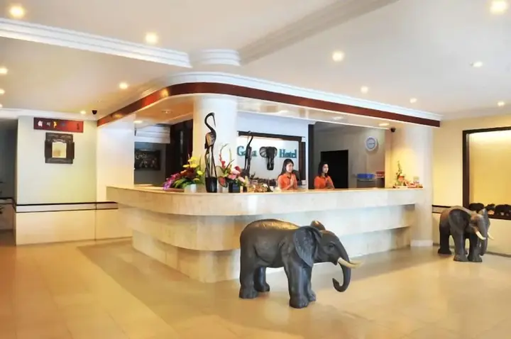 Пеканбару: Gaja Hotel
