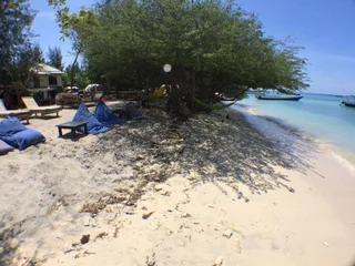 Гили Траванган: Coral Beach 2 Bungalow