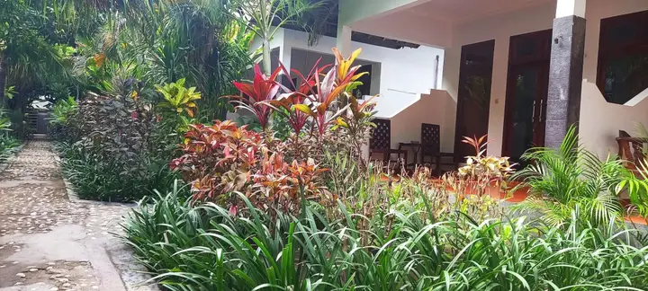 Гили Траванган: Gili Welldone Guesthouse