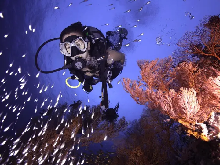 Гили Траванган: Gili Divers Hotel