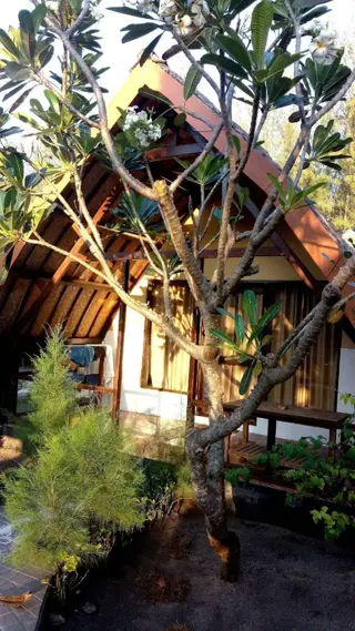 Гили Траванган: Pondok Windy Bungalows